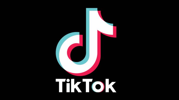Can I Use TikTok Logo